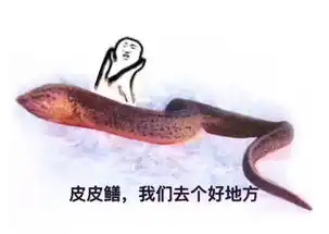 鳝恶有鲍邪恶搞笑表情包给你要的黄鳝