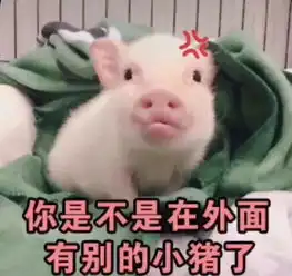 猪年夏天,精致的猪猪女孩们必须拥有珠珠包