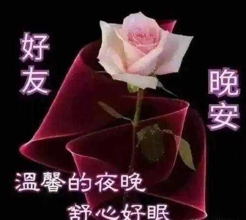 晚上好温馨的祝福美图,美言