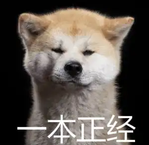 安利一部险些被第一集耽误的好剧sci谜案集