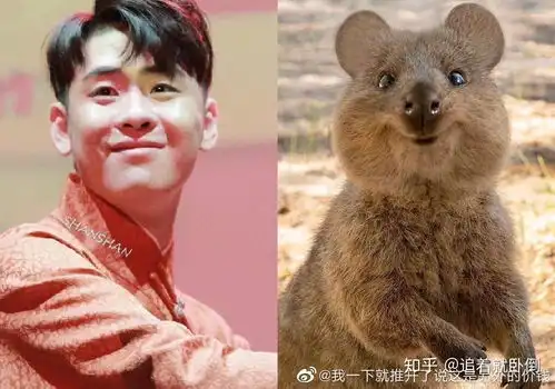 有没有什么好看的德云社图片壁纸表情包