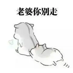 求老婆原谅专用表情包老婆你可以打我骂我,就是不能不理我
