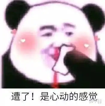如何评价婚恋社交小程序寻芳觅缘