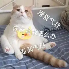 惹女朋友生气了,有哪些道歉的句子和表情包用上后就能灭火