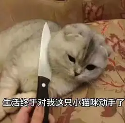 医学生专用表情包,拿走不谢