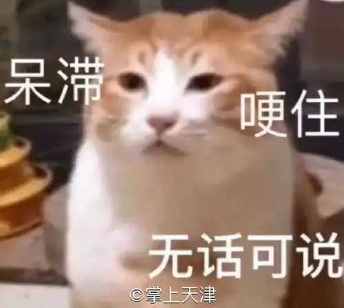 什么是快乐星球天津面茶