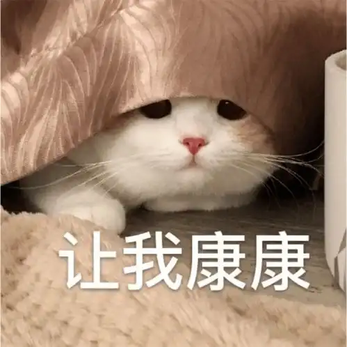 前方高能一股热词涌入山师