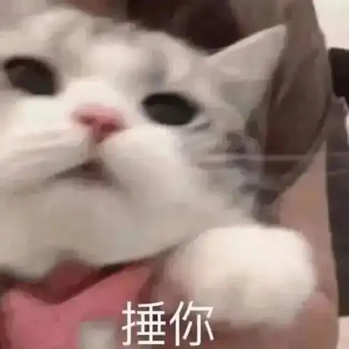 嘿嘿,你懂我的意思吧丨第132期喵表情
