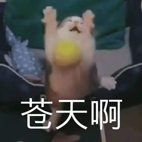 半年不洗洗衣机后果居然这么严重