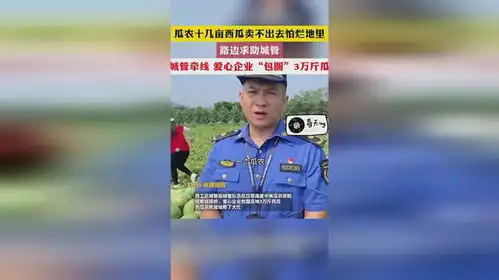 瓜农十几亩西瓜卖不出去怕烂地里路边求助城管城管牵线爱心企业包圆3万斤瓜