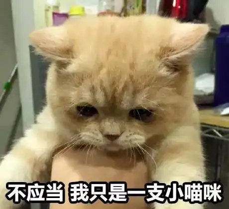 在外国留学穷是什么体验一提到这,留学生已哭瞎