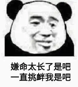 有没有小熊猫的表情包
