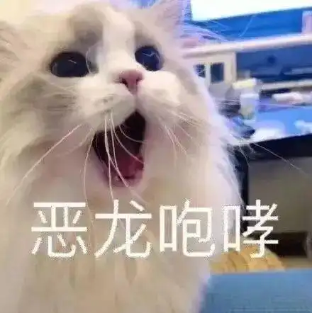 撒娇专用的宠物表情包,请收下我的爱