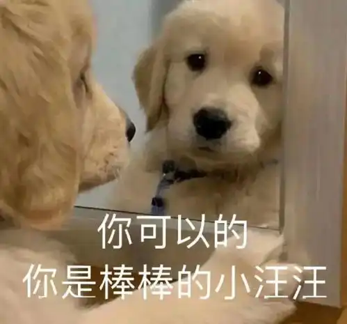内卷...考核...加班...打工人崩溃瞬间为什么工作后我的同事都在考frm