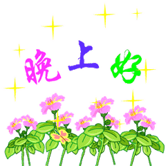 晚安暖人心窝的唯美句子总有一句触动你