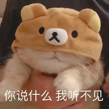 考研到底有多辛苦盘点考研备考中那些崩溃瞬间我太难了