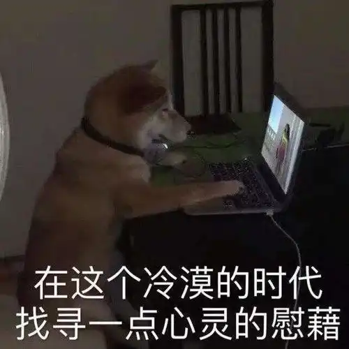 网恋有风险,打钱须谨慎