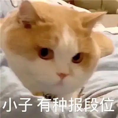 一组搞怪表情包可爱又很幽默逗比必备的一款聊天表情2021
