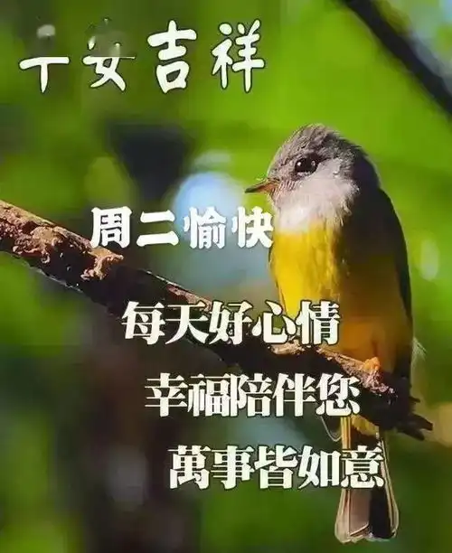 最新漂亮的周二早上好表情图片,每天好心情,万事皆如意
