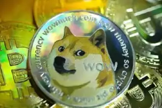 狗狗币从玩笑到数字货币市场的焦点