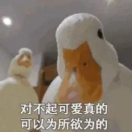 网红比心鸭子表情包哪里有最新最全比心鸭子表情包分享