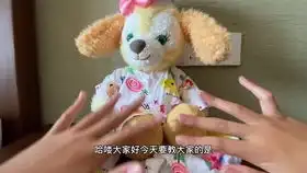 迪士尼圣诞节嗨喽大家好,我是妙