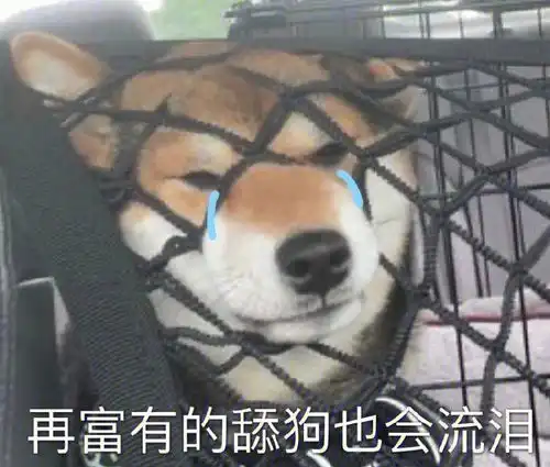 可怜中透漏出一丝丝搞笑的舔狗语录