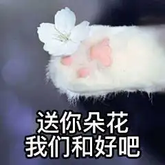情侣吵架和好表情包每天都跟我吵架,我不要面子的吗