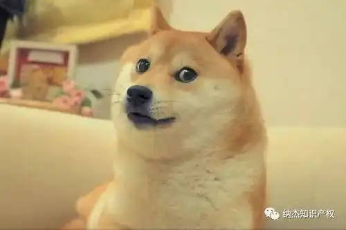 腾讯字节跳动的狗头商标均被驳回,微博的还能申请成功吗