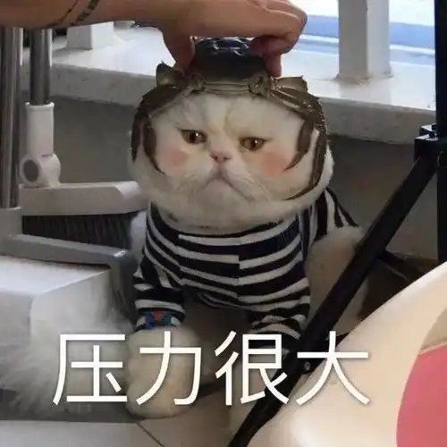 考研满分500分,然而400分无学可上盘点那些考研最卷最难的专业