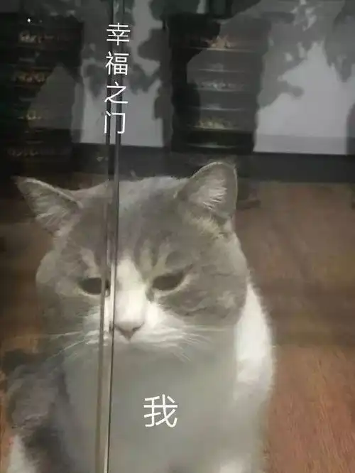 从猫屁股上扯出一根头发错误做法请勿模仿