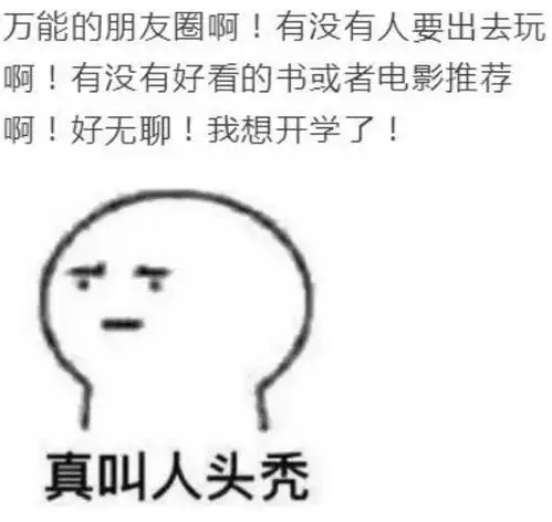 假期物语丨你的寒假可否如愿