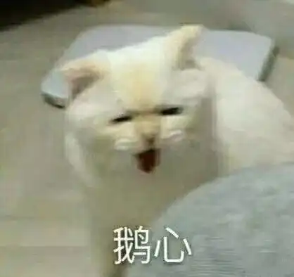 程序员的噩梦世界上最难的5种编程语言