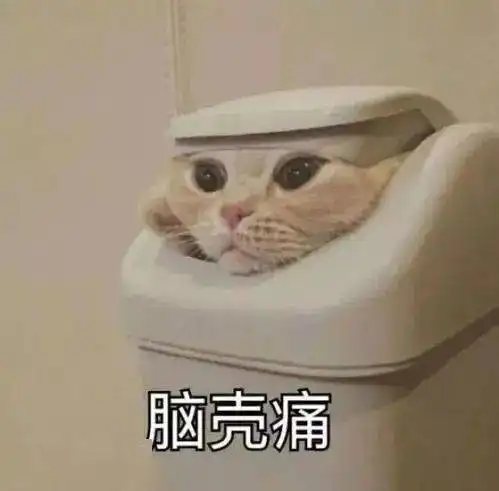 凭借表情包出圈国际音乐界,这位钢琴家可不得了