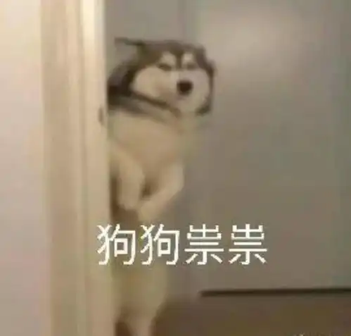 下一个小长假有3天回家的票可以安排上了