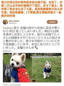 难过喵星人楼楼汪星人俊介相继离世上帝带走了我们的表情包