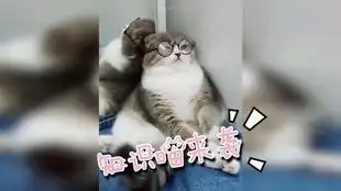 哔哩哔哩干杯bilibili