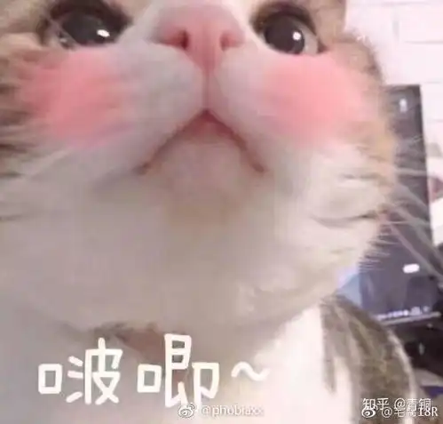 微博黑超话里的人都是什么心态