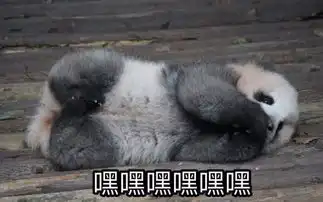 大小姐你不可以这样萌