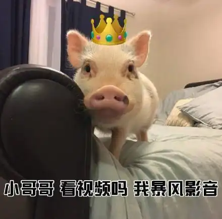 小猪猪表情包小哥哥网恋吗我萝莉音
