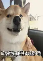 单身狗