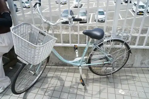 一个叫大岛的小岛