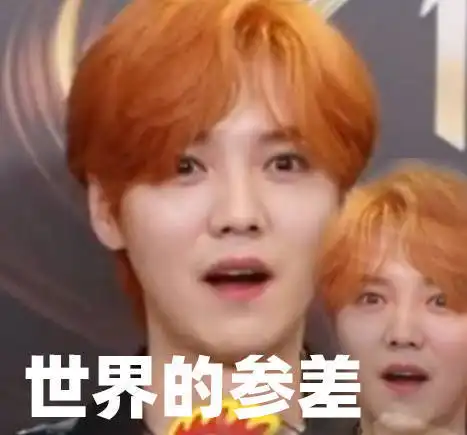 表情包丨一只可爱的狗狗