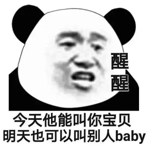 沙雕熊猫图