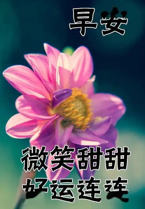 12月4日最漂亮早上好动态表情图片大全,早晨好动图美图大全