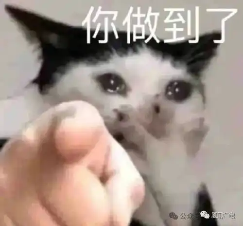 大雾橙色预警多条航线停航厦门今天起