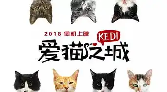 影讯街头热血,每个江湖儿女必看