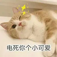可爱猫咪卖萌表情包微信头像图片大全