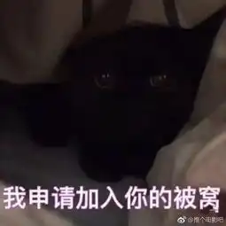 夸夸群进来商业互吹