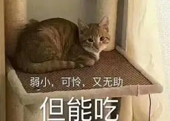 为什么那么容易变胖可能是因为...穷